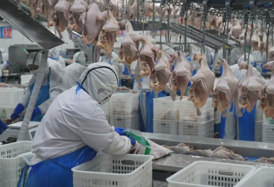 屠宰廠弱電工程解決方案圍繞生產安全、效率提升及管理優化